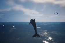 様々な海洋生物となって海の世界を旅する『Whale Fall』第1弾トレイラー公開！イルカやエイ、果てには巨大な鯨まで操作可能 画像