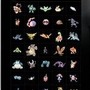 RANDOM DISPLAY（ランダムディプレイ）©2012 Pokémon. ©1995-2012 Nintendo/Creatures Inc. /GAME FREAK inc.　