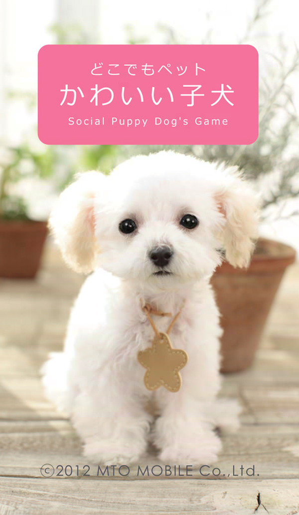 子犬と一緒に暮らすソーシャルペットゲーム どこでもペット かわいい子犬 インサイド