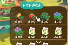 『あつまれ どうぶつの森』料理に使う野菜・材料はどこで手に入る？ 「レイジ」を勧誘して畑を作ろう！ 画像