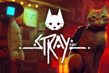 世界を魅了したポストアポカリプス都市探索猫ADV『Stray』スイッチパッケージ版発売！新宿駅東口での3D映像放映に、池袋でPOP-UPストアも 画像