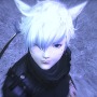 「ミコッテの防壁」が築かれた『FF14』の海外サーバー…野次馬お断り！？