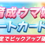 『ウマ娘』新たに「ワンダーアキュート」実装決定！コパノリッキー、ホッコータルマエらと競い合った“ダートウマ娘”