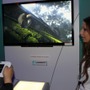 【E3 2011】Wii Uで味わう日本の四季『Japanese Garden』ムービー 