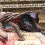 【モンスターハンターフェスタ’13】等身大のモンスターや足あとにハンターもビックリ、東京会場の盛り上がりをフォトレポートでお届け！