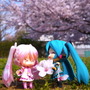 【フィグライフ！】第3回：近所の公園で桜が満開と聞いてミクさんとお散歩してきた