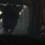 【E3 2015】『人喰いの大鷲トリコ』2016年発売！新たな映像・画像もお目見え