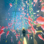 【E3 2016】水中探索ADV『ABZU』海外発売日決定！―美しすぎて息を呑むトレイラーも