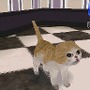 カジュアルシリーズ2980 Petz Catz キャッツ