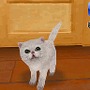 カジュアルシリーズ2980 Petz Catz キャッツ