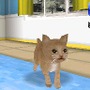 カジュアルシリーズ2980 Petz Catz キャッツ