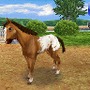 カジュアルシリーズ2980 Petz Horsez ホースズ