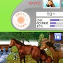 カジュアルシリーズ2980 Petz Horsez ホースズ