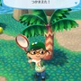 【特集】『どうぶつの森 ポケットキャンプ』あるある10選！キャンパー生活は意外と苦労も多い!?