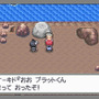 ポケットモンスター プラチナ