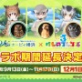 『けものフレンズ3』新イベント「セルリアン大掃除」開催中！☆4「タイリクオオカミ」が出現する「ぷれみあむぴっくあっぷ」も実施