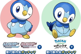 『ポケモン』特別な「ポッチャマ」をゲットだぜ！『ダイパリメイク』『アルセウス』でプレゼントキャンペーン開催決定 画像