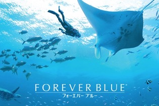 「Wii」発売10周年！名作『FOREVER BLUE』に思いを馳せる 画像