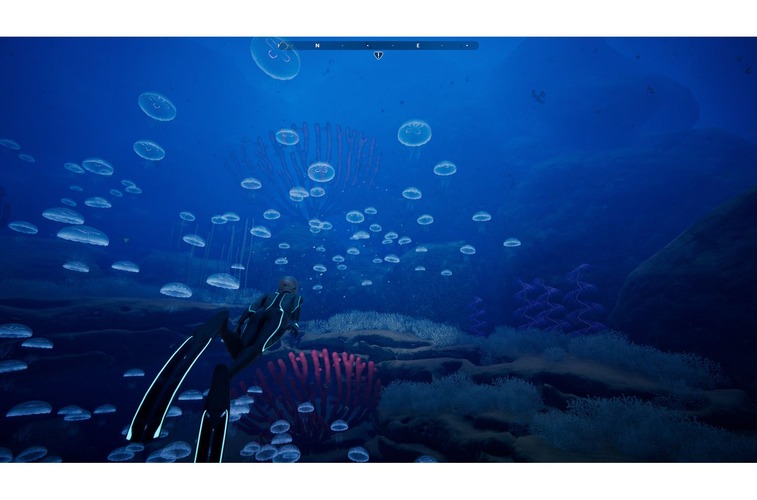 神秘的な海のロマンあふれるおすすめゲーム5選 美しくも厳しい海中世界を大冒険しよう 3枚目の写真 画像 インサイド