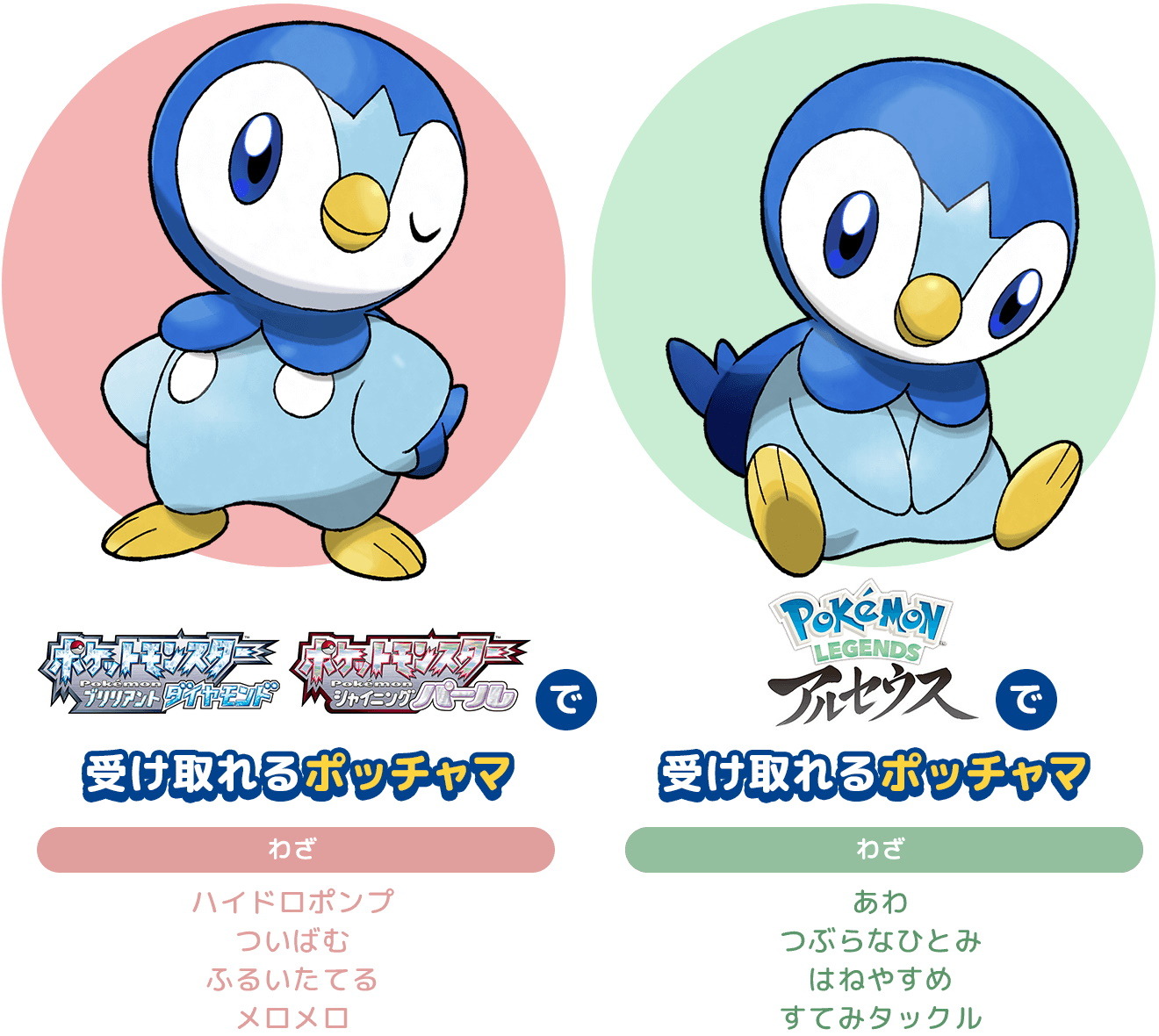 ポケモン』特別な「ポッチャマ」をゲットだぜ！『ダイパリメイク