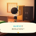 『あつまれ どうぶつの森』意外とすごい特別な家具10種類！トイレはスッキリできて、ハムスターも人によって違う!?