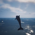 様々な海洋生物となって海の世界を旅する『Whale Fall』第1弾トレイラー公開！イルカやエイ、果てには巨大な鯨まで操作可能