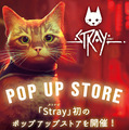 世界を魅了したポストアポカリプス都市探索猫ADV『Stray』スイッチパッケージ版発売！新宿駅東口での3D映像放映に、池袋でPOP-UPストアも