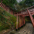 祐徳稲荷神社