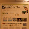 【CEDEC 2011】Wiiを活用してリハビリを少しでも楽しいものに