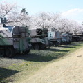 桜に車両に小火器の多数！陸上自衛隊土浦駐屯地をフォトレポート