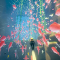 【E3 2016】水中探索ADV『ABZU』海外発売日決定！―美しすぎて息を呑むトレイラーも