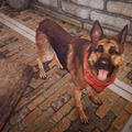 『ゲームに登場する名犬』8匹―人類きっての大親友！