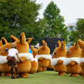 1,500匹以上のピカチュウが今年も横浜で大量発生チュウ！イーブイも世界発の大行進を披露【フォトレポ】