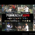 『プロ野球スピリッツ2019』PS4/Vitaで4月25日発売決定！開発中のゲーム内画像もお披露目