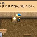 牧場物語 キミと育つ島