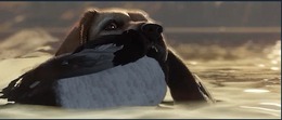 愛犬が飼える!犬とともに狩猟スローライフ『theHunter: Call of the Wild』最新DLC「Labrador Retriever」リリース