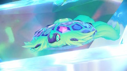 テラパゴスも早速使える!『ポケモンSV』公式インターネット大会「ブルーベリープロローグ」開催決定