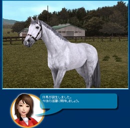 Gallop Racer ONLINE