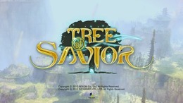 『Tree of Savior』ゲームデータの取り扱い方針を変更─同意したプレイヤーのデータは移行可能に