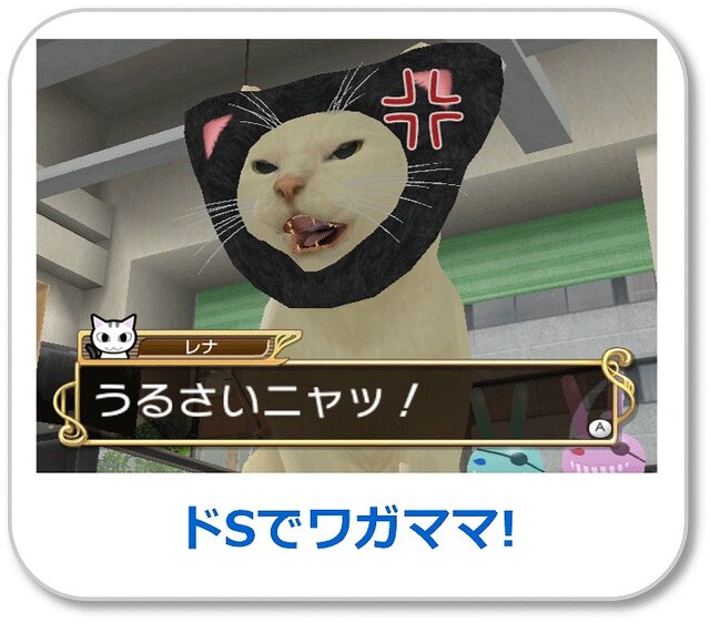 女番社長レナWii』発売記念スペシャルイベント『猫パンチ体操