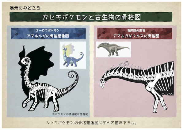 日本全国を回る巡回展示 ポケモン化石博物館 近夏より開催決定 カセキポケモン の実物大骨格模型や骨格想像図を展示 インサイド