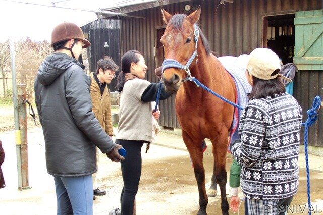 馬に対しても人に対しても、幸せを願う引退馬協会