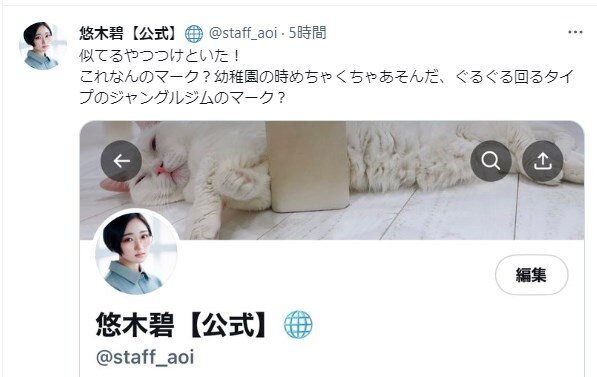 Twitterにはプロフィールに設定できない絵文字が存在する―青い公式マークや鍵アカウントを誤認させるものはNG