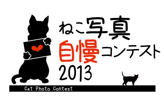 ねこ写真自慢コンテスト2013