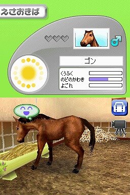 カジュアルシリーズ2980 Petz Horsez ホースズ