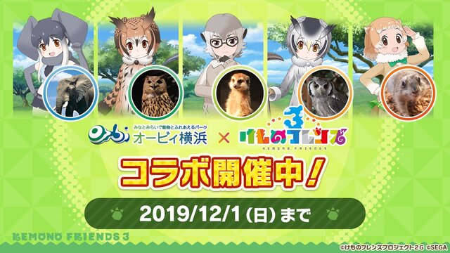 『けものフレンズ３』わくわくどきどき探検レポート #02まとめ！新フレンズ“アルパカ・ワカイヤ”などワクワクする最新情報が盛り沢山