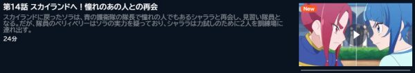 アニメ ひろがるスカイ！プリキュア 14話 動画無料配信