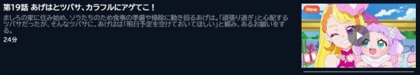アニメ ひろがるスカイ！プリキュア 19話 動画無料配信