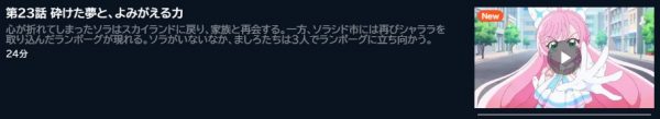 アニメ ひろがるスカイ！プリキュア 23話 動画無料配信