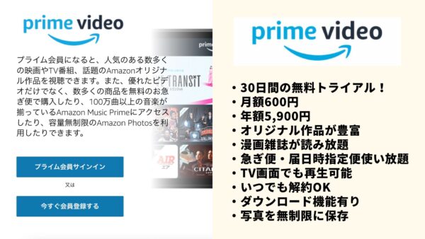 Amazonプライムビデオ アニメ AIの遺電子 動画無料配信